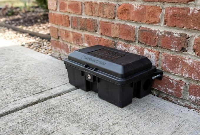 Tamper-resistant bait station positioned against a Greensboro building foundation